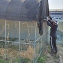 스마트농원 이미지