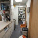 죽전 쿨펫동물병원 이미지