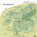 화인애견 이미지