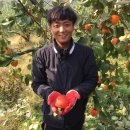 조군농장 이미지