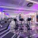 테디 케이짐 이미지