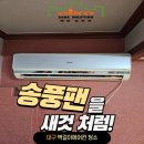 (주)대구약품 | 대구벽걸이에어컨청소 후기｜송풍팬이 새것처럼!