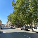 BION | 프랑스 파리 여행 기념품 추천 : 몽쥬약국 쇼핑리스트 본점 위치 할인쿠폰