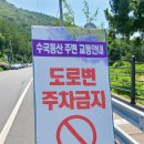 썬트리팜카페