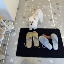 네일 또 와 | 구미 원평동 네일샵 네일와 젤연장 후기