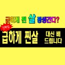 관양중학교 | 관양동헬스장 pt 급하게 찐살 대신 빼드립니다