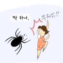 버그 솔루션