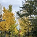 원문동(정보과학도서관 앞) 이미지