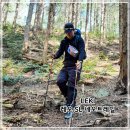 프로네오 | 무게 120g? 레키 초경량 스틱 네오트레일 프로 트레일러닝 UL 백패킹 후기
