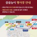 강물이 흐르는 곳 앞 간이화장실 | [국내 여행] 2025 안동 선유줄불놀이 내돈내산 후기 | 예약방법 주차장 명당자리 꿀팁