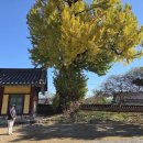 #카라반여행D26-5,6(T280,T281)#나주 #화순 이미지