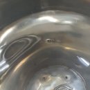 제이디코리아(JDkorea) 이미지