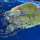 아쿠아빌딩 이미지