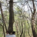 꿈나무유치원 이미지