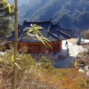 좋은여행사주 - 서천군 화금서길 1 | 좋은여행사주