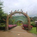 주남오리알 이미지