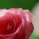 사람과한의원 이미지