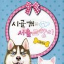 시골문화사