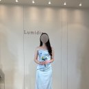 금지경로당 | [W03] 웨딩촬영용 드레스 고르기(25년 그사순 리뉴얼 드레스 리스트 공유) - 루미디아 유색 드레스