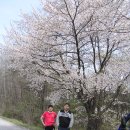 새말휴게소 이미지