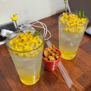 서구-01-159 이미지