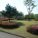 정발산공원 이미지