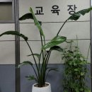 미화기획