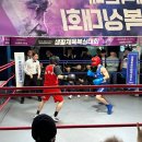 아트복싱체육관(후평점) | 제 4회 아트복싱배 생활체육복싱대회 개최!