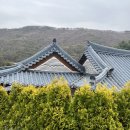 펜션 솔향 이미지