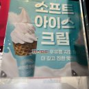 지미집 | 다이나믹했던 😂 임진각 DMZ OPEN 콘서트 후기! (부제 : 지미집… 저리 비켜 😤 9월은 모다? 전어와...
