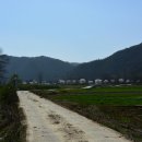 구암마을진입로 이미지