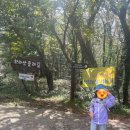 한라산둘레길 돌오름길 | 느린아이도 한라산 둘레길 종주, 할 수 있어요! (part6. 돌오름길)