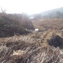 원주현대부동산공인중개사 이미지