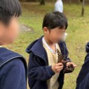 금빛유치원 이미지