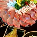 어부항숙성횟집