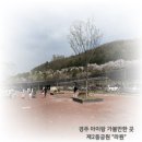 경감로4(남) | 경주 아이랑 가볼만한곳, 제2동궁원 라원