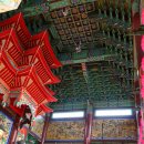 상효동-3 | 제주도 서귀포 나혼자산다 기안84 사찰 선덕사 가볼만한 절 추천/주차장