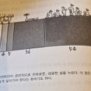 미라클모닝_독서후기_할엘로드