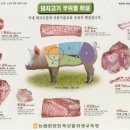 소와돼지 네이버블로그