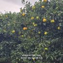 충무도서관 이미지