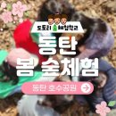 에코힐링 | 동탄호수공원 숲체험 추천, 도토리 숲체험학교 봄 숲체험 원데이 에코힐링 후기