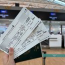 달여행 | 호주행 싱가포르항공 후기 SQ601·SQ255 기내식과 좌석 솔직 리뷰 (싱가포르 경유)