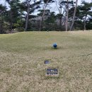 일레븐CC 이미지