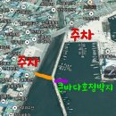[경남 사천] 2024.10.27 삼천포 쭈꾸미낚시, 선상낚시 큰바다호 이용 후기