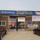 아시아시트
