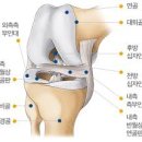 오를필라테스