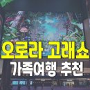 평화디딤돌지역아동센터 | 아레나 오로라 고래쇼 &amp; 인스파이어 가족여행 강력 추천