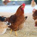 가금경로당 이미지