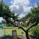 승승농장 이미지