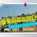 들꽃이 있는 바다 이미지